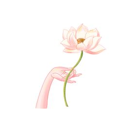 荷花  中国风江南可采莲