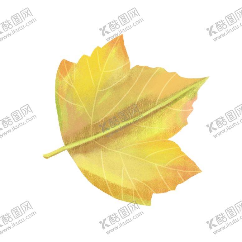 编号：15159006171725063866【酷图网】源文件下载-枫叶