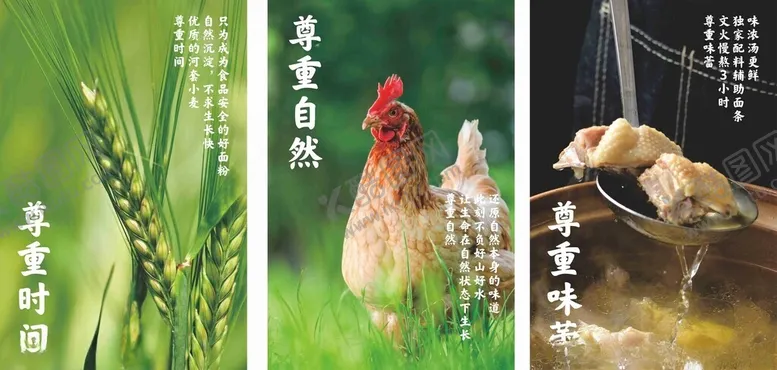 编号：30584202030550571650【酷图网】源文件下载-鸡汤海报