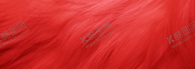 编号：61296510291138392258【酷图网】源文件下载-红色毛发背景红色背景
