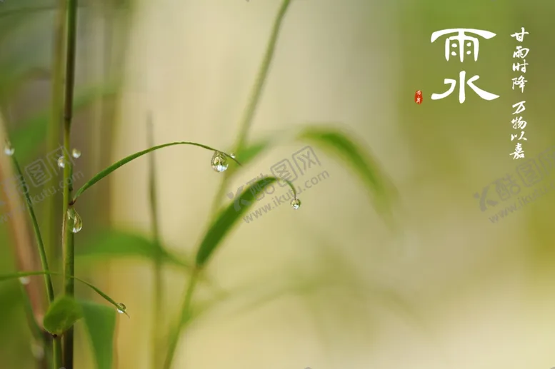 编号：70362312140627208973【酷图网】源文件下载-雨水