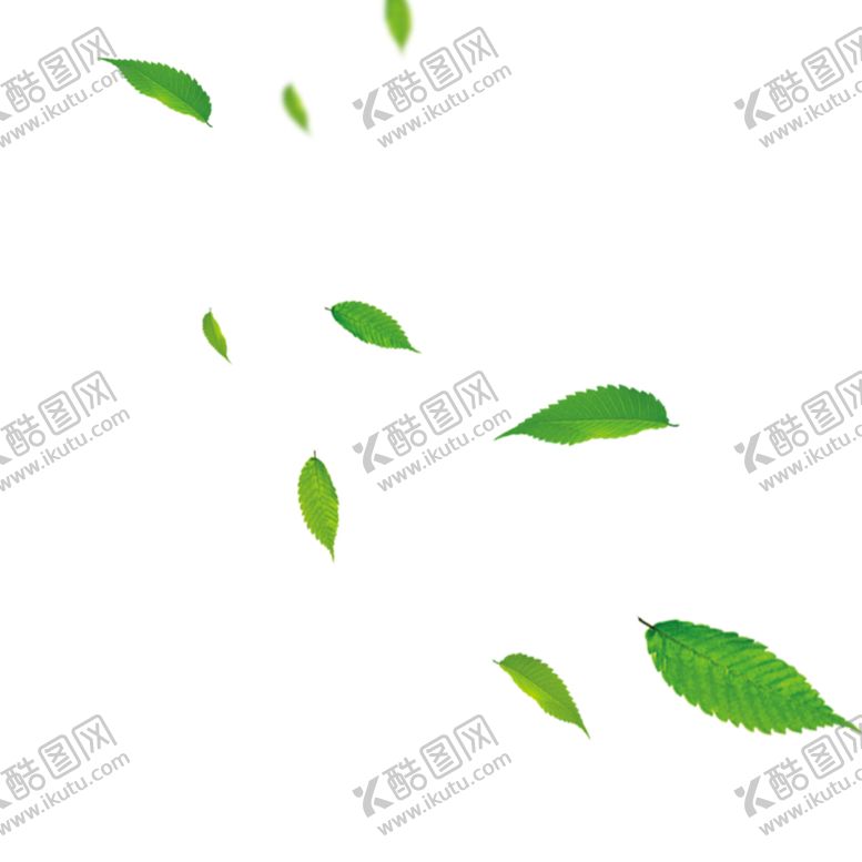编号：32132307051608462060【酷图网】源文件下载-叶子素材