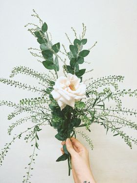 玫瑰自然景观爱情花花