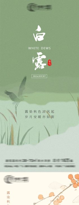 白露节气系列海报