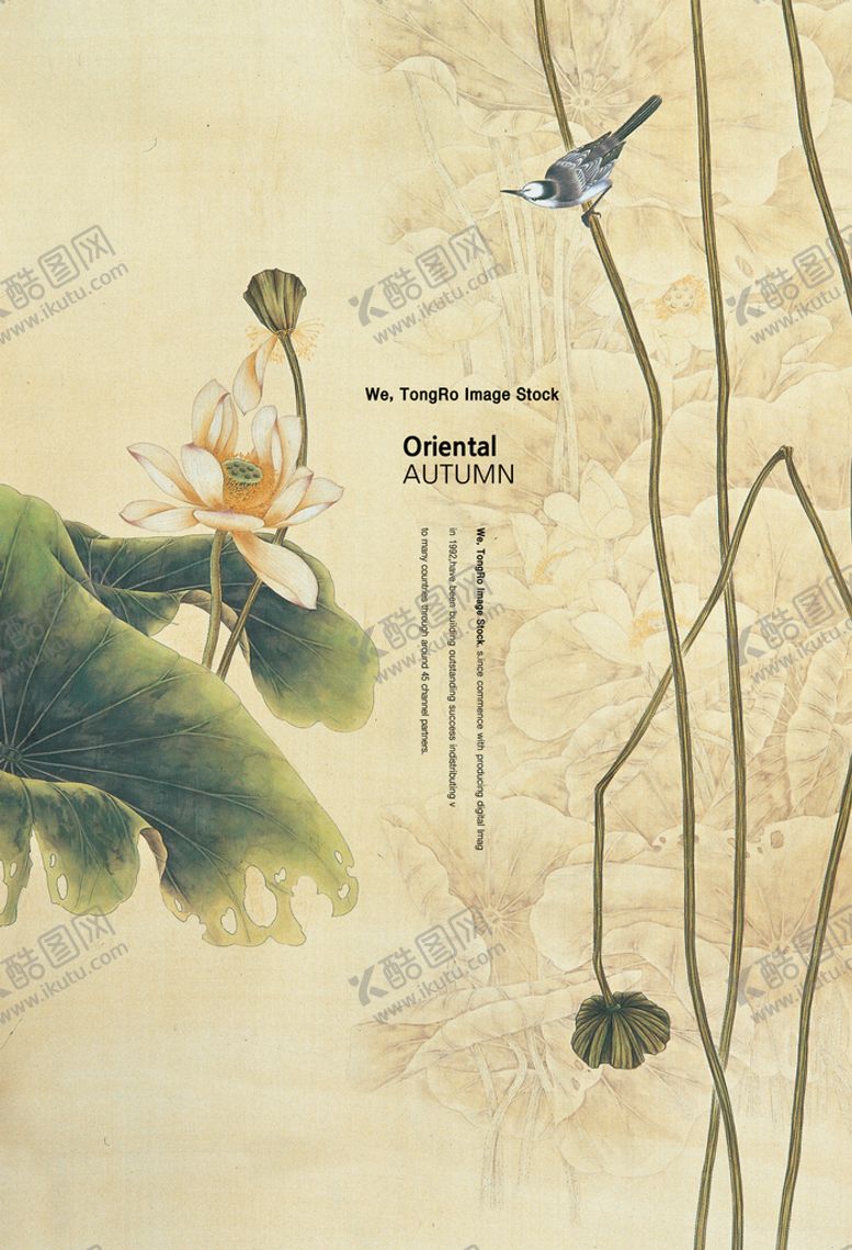 编号：89635010110330421506【酷图网】源文件下载-工笔画没有图层