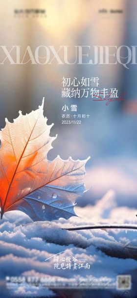 大雪节气海报