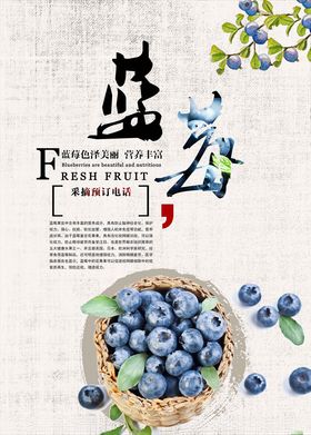 蓝莓图片