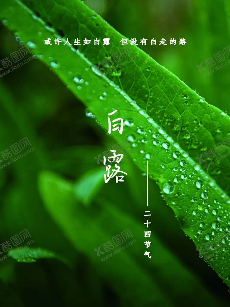 编号：49773512111705502763【酷图网】源文件下载-白露