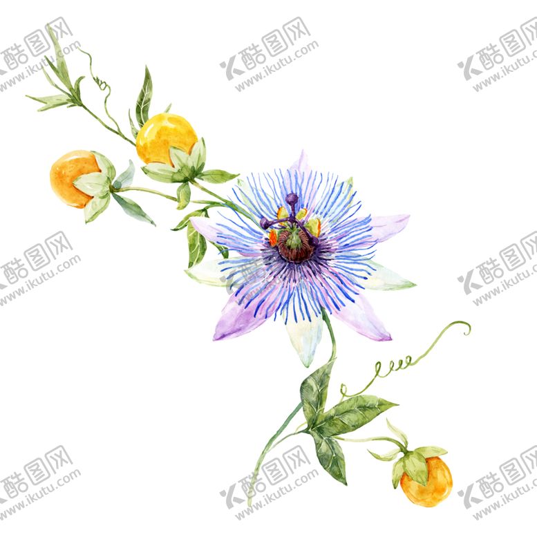 编号：74528506180914436500【酷图网】源文件下载-手绘花