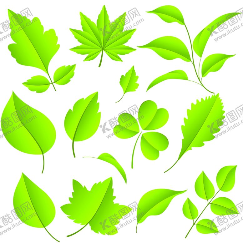 编号：82090409212139485824【酷图网】源文件下载-树叶