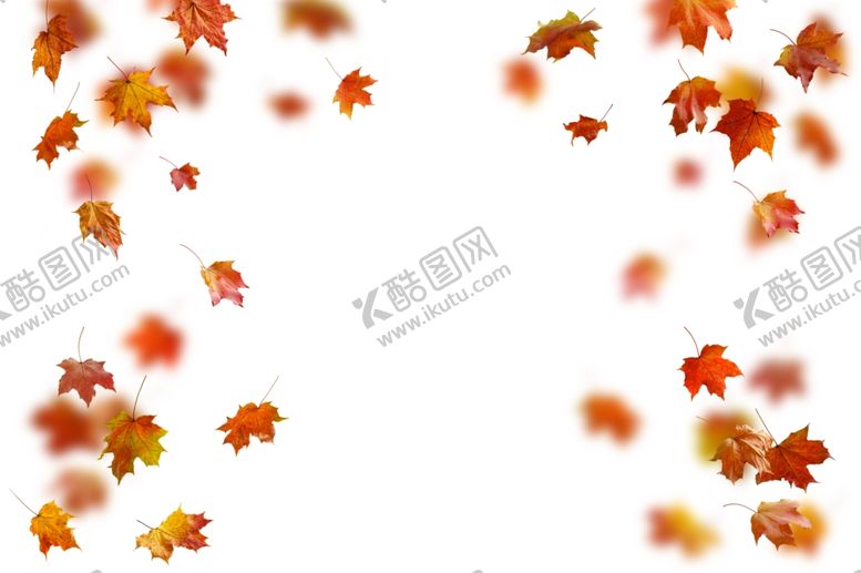编号：55835912210040588107【酷图网】源文件下载-秋天落叶