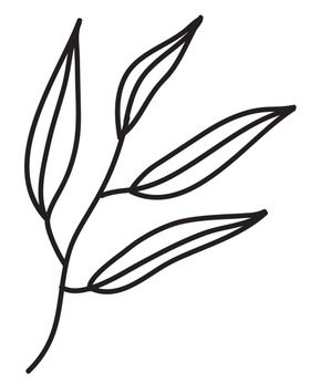 黑白手绘植物