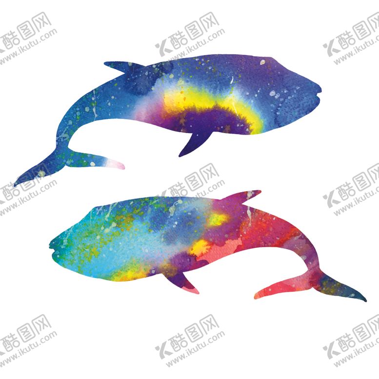 编号：52480110231801361965【酷图网】源文件下载-炫彩渐变鲸鱼图案
