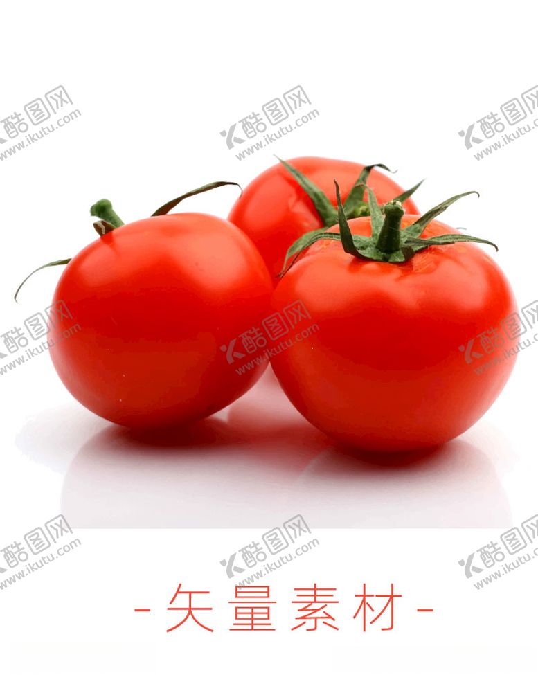 番茄西红柿高清矢量蔬菜矢量素材