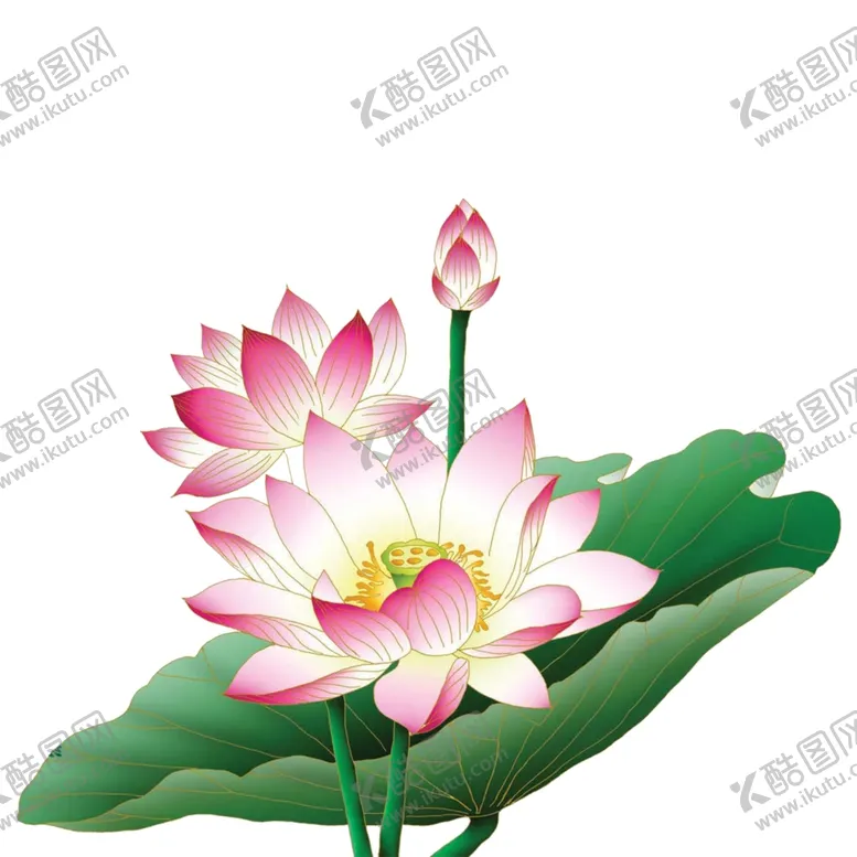 编号：16645801190209595058【酷图网】源文件下载-荷花素材