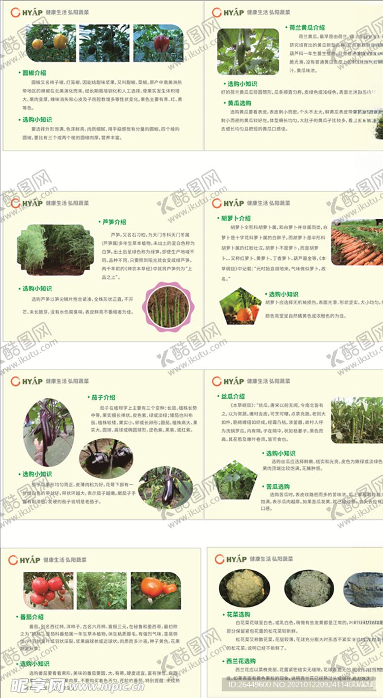编号：79443203140420142885【酷图网】源文件下载-弘扬蔬菜