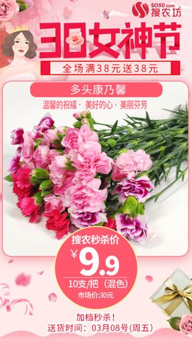 女神节红色康乃馨