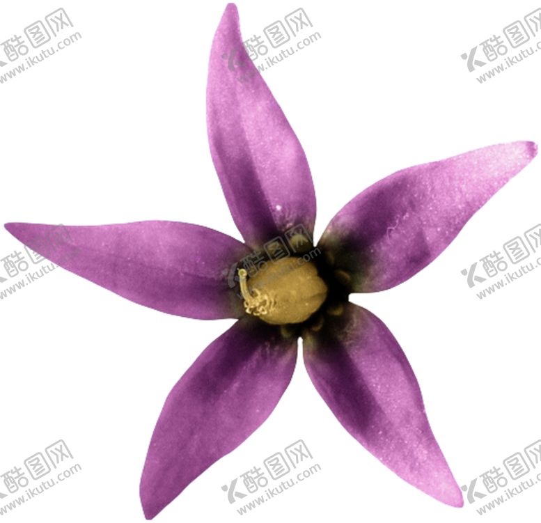 编号：60537705160849451369【酷图网】源文件下载-花边