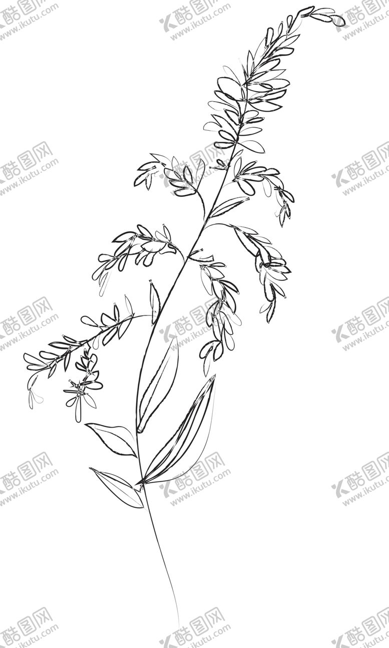 编号：53753509240414274233【酷图网】源文件下载-手绘植物花卉