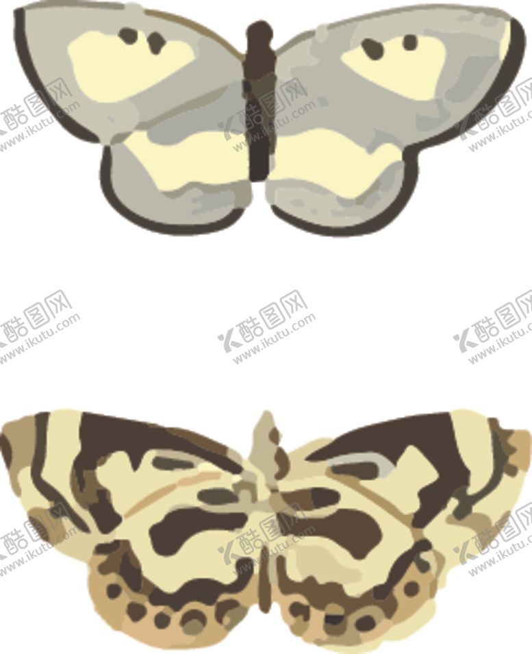编号：36725007052314292888【酷图网】源文件下载-蝴蝶昆虫插画