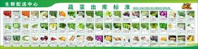 蔬菜分拣标准