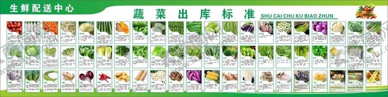 编号：74125105281021297405【酷图网】源文件下载-蔬菜分拣标准
