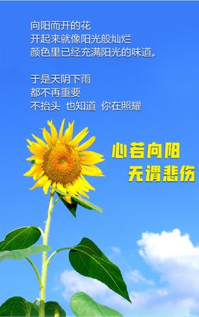 向日葵花语