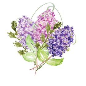 手绘花卉透明底叶子水彩透明背景