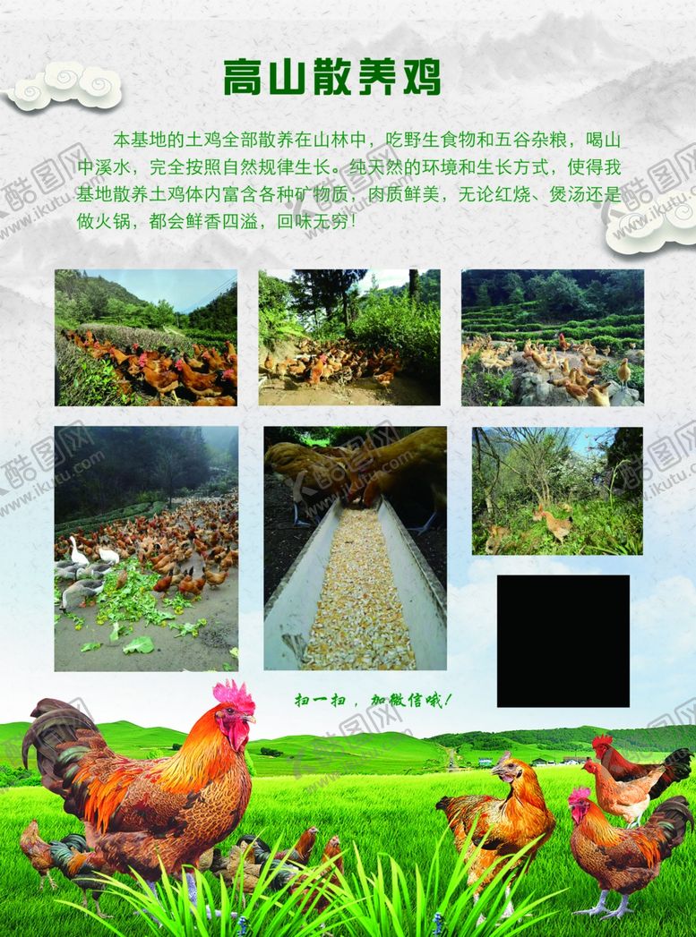 编号：45840309211501179135【酷图网】源文件下载-散养鸡土鸡蛋中国风水墨