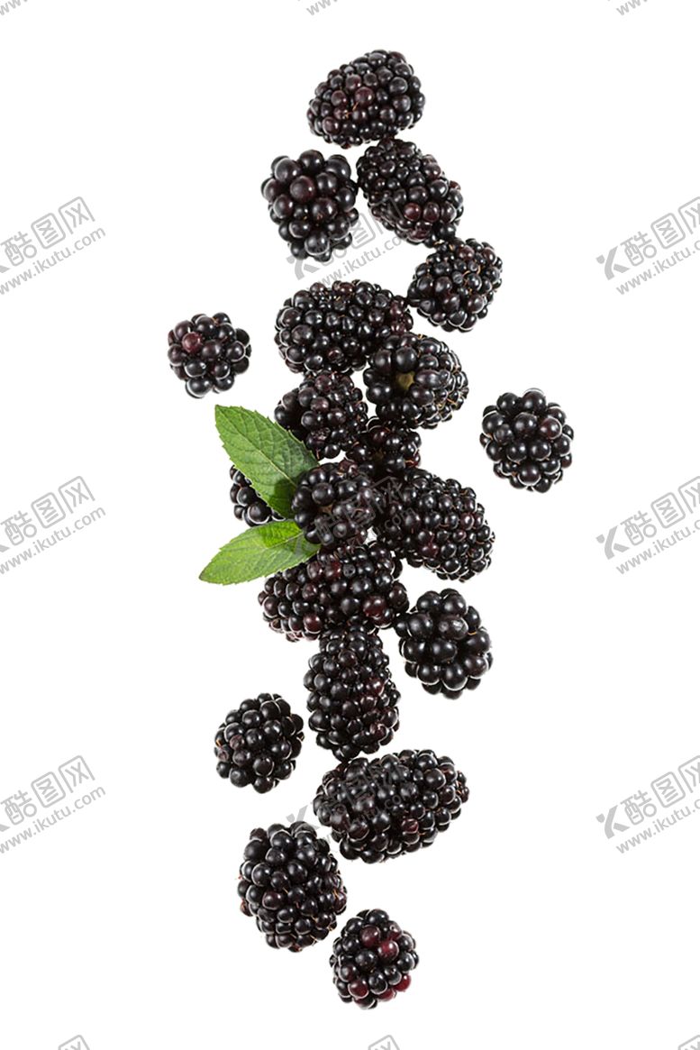 编号：42950807050827214282【酷图网】源文件下载-水果