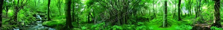 编号：19051912082033285353【酷图网】源文件下载-巨幅森林