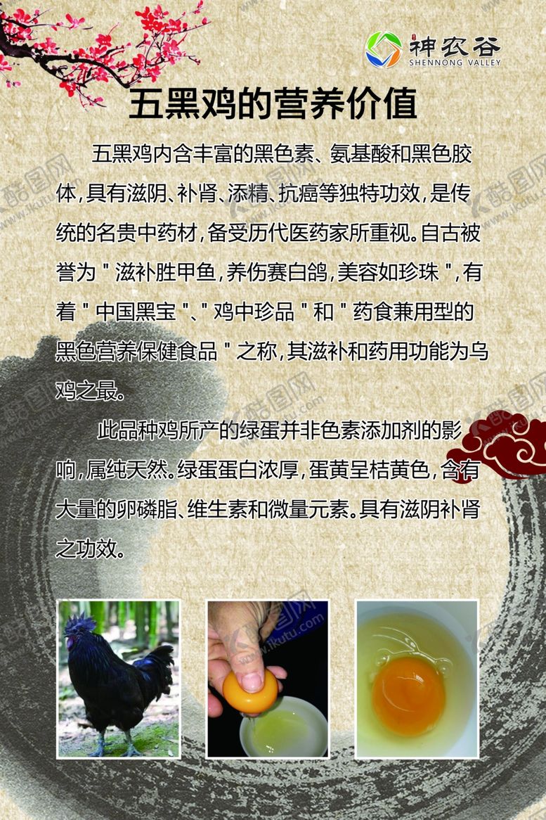 编号：33781111010211032004【酷图网】源文件下载-五黑鸡的营养价值