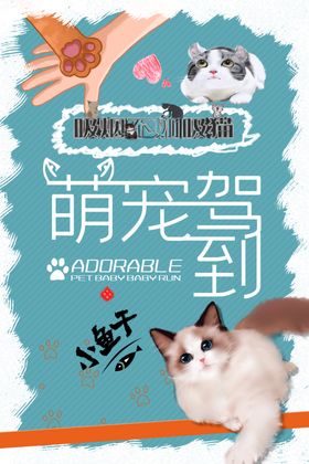 萌宠驾到