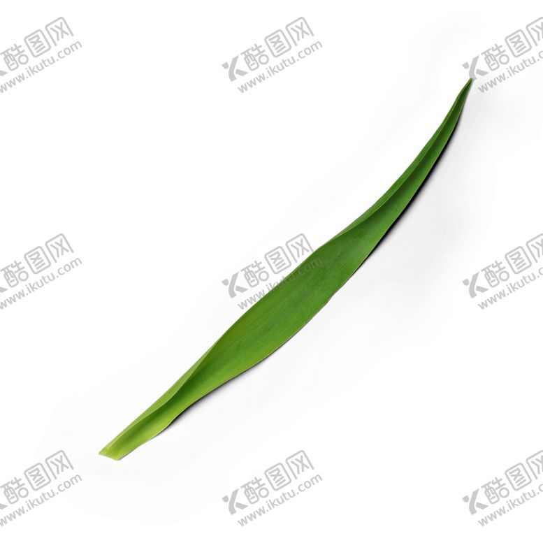 编号：66997510031843464106【酷图网】源文件下载-绿叶