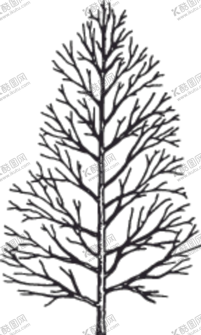 编号：53844610241918109186【酷图网】源文件下载-植物系列树木树干