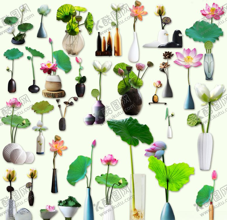 编号：49367309190244259919【酷图网】源文件下载-荷花莲花