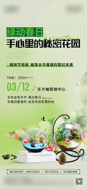 多肉DIY盆栽手作