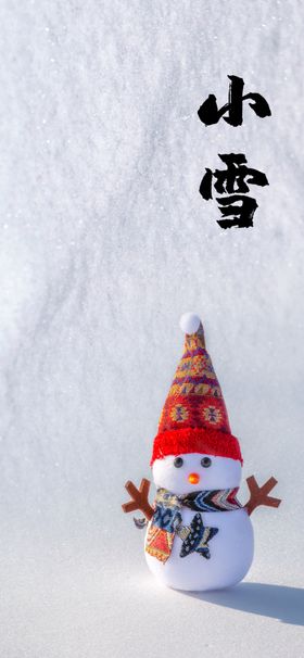 冬季小雪节气雪人海报