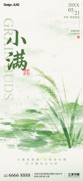 简约小满节气宣传