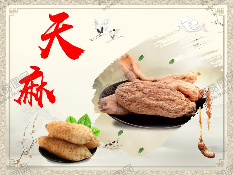 编号：53823205151345391696【酷图网】源文件下载-天麻