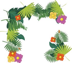 芭蕉叶热带