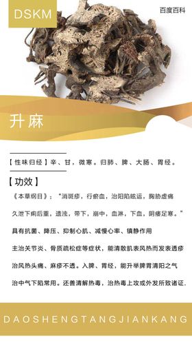 升麻