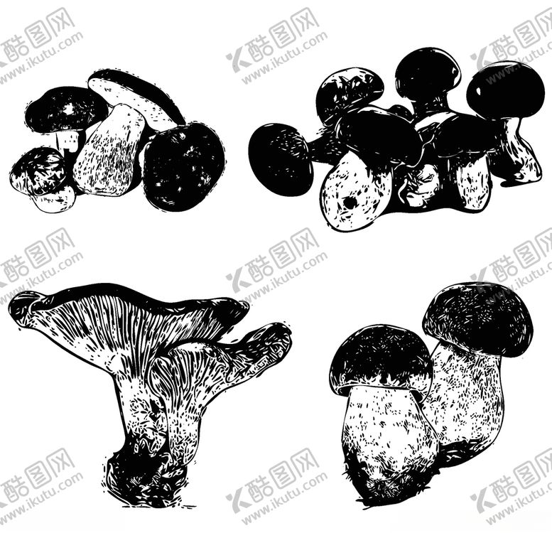 编号：46296810210622219961【酷图网】源文件下载-素描菌菇