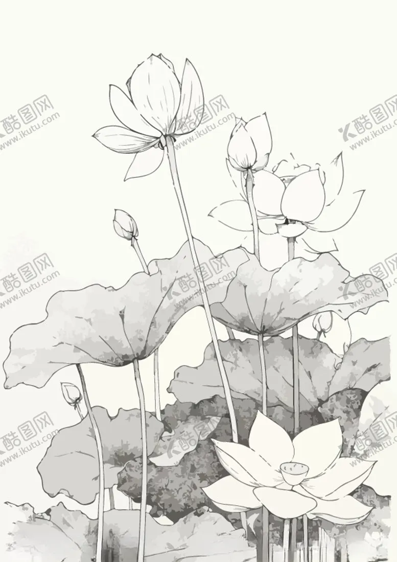 编号：38071702170625389552【酷图网】源文件下载-荷花简笔画