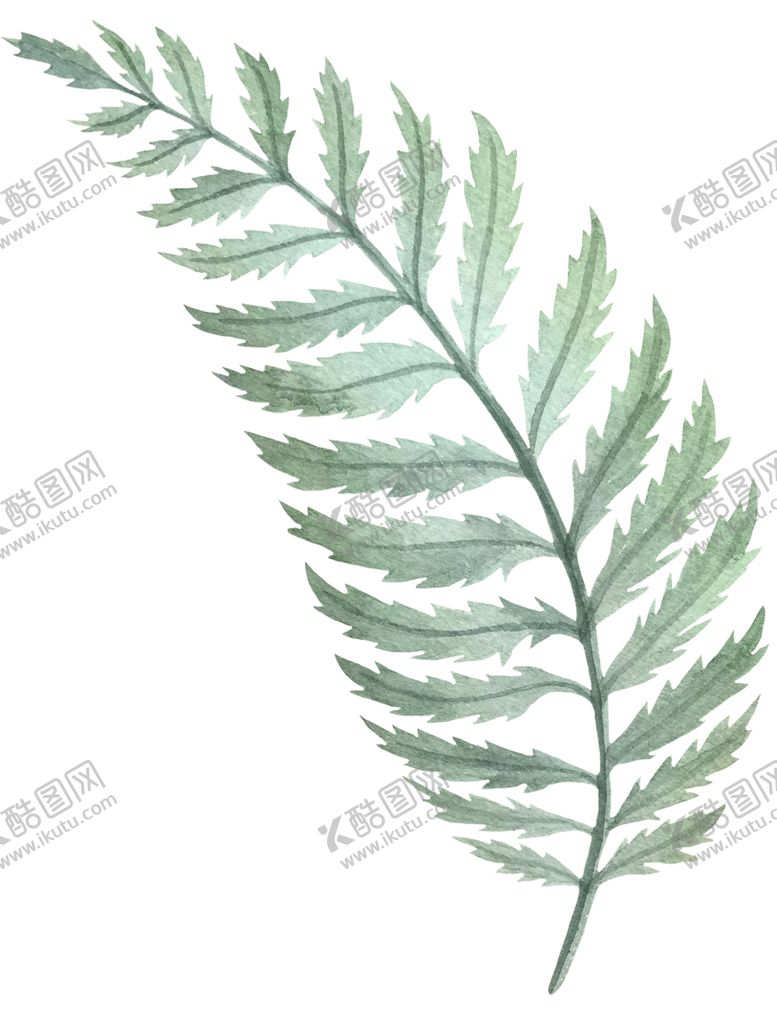 编号：90298105190623293537【酷图网】源文件下载-手绘植物