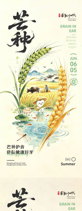 芒种