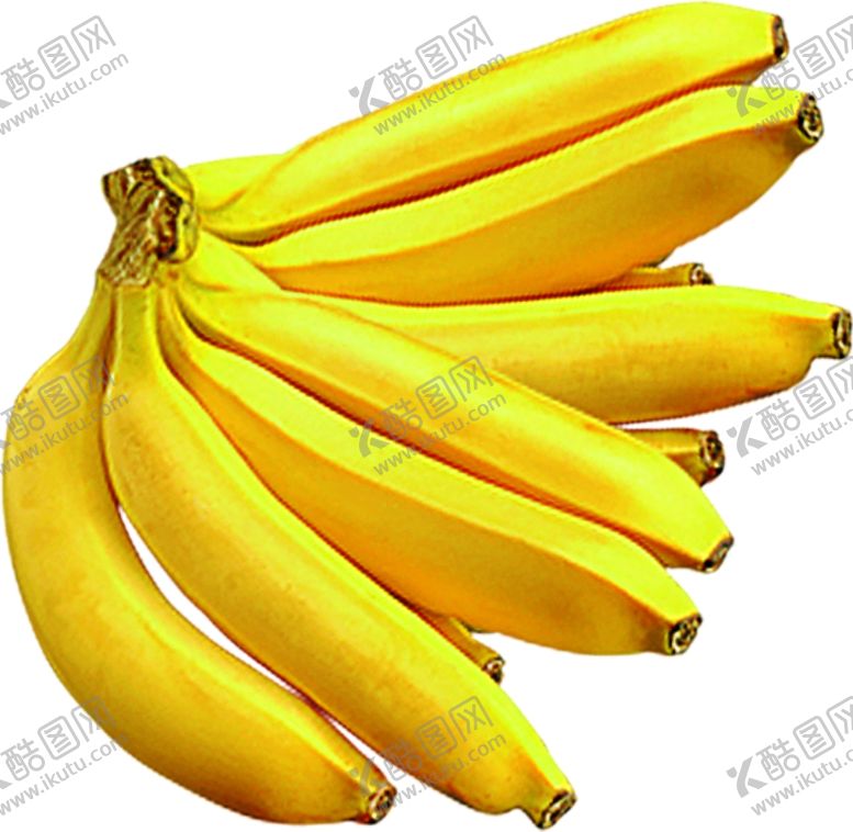 编号：58750109270302482149【酷图网】源文件下载-香蕉