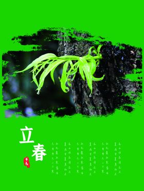 立春中国传统节气广告分发芽