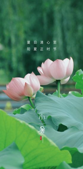 小暑大暑立夏春分清明