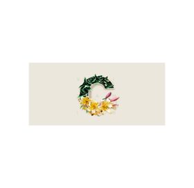 創意字母C